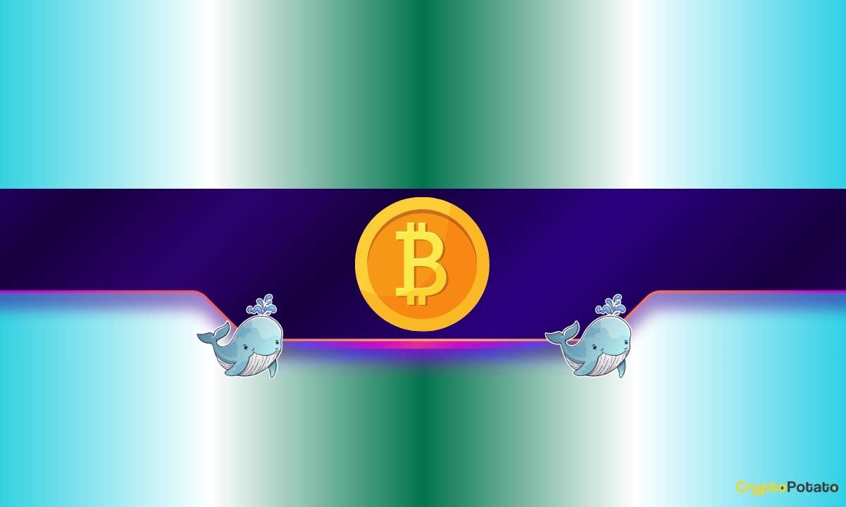 4 天内购买了 30,000 个 BTC：新一轮比特币牛市即将到来？(1)